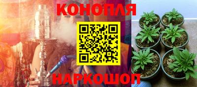 spice Наро-Фоминск