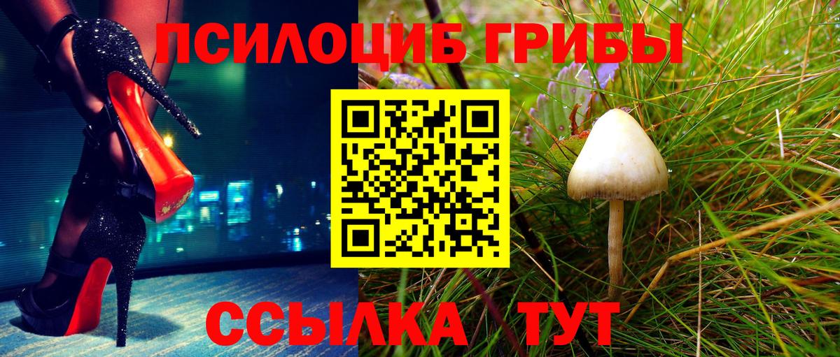 Галлюциногенные грибы ЛСД  Вход с VPN  Ревда 